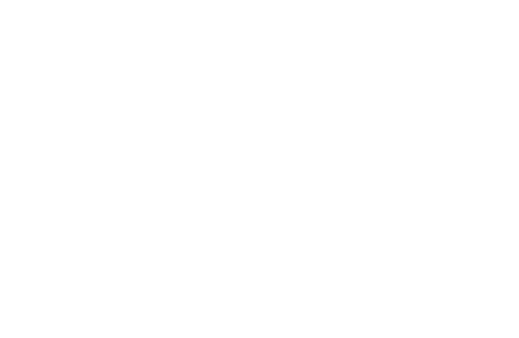 CNP - Logo