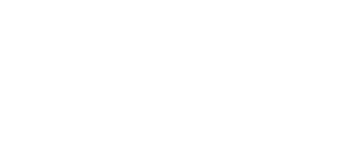 Logo EY Ventury
