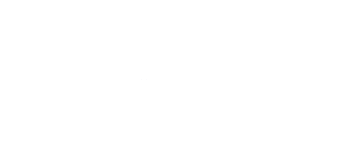 Logo Iter Advisors
