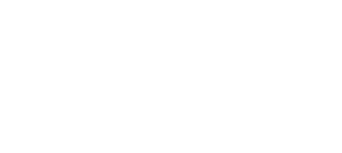 Logo Roland Berger