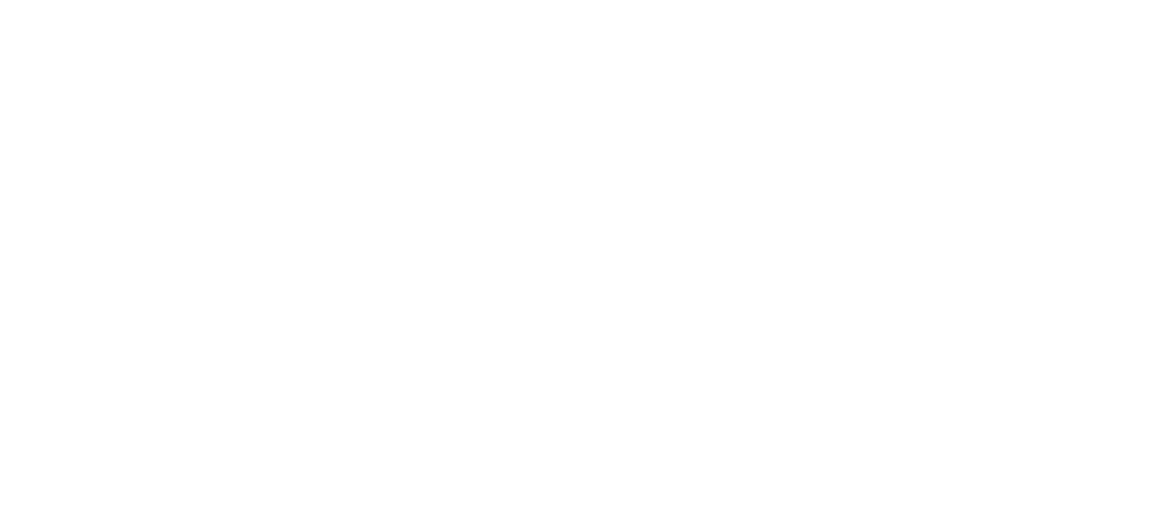Logo Morfo