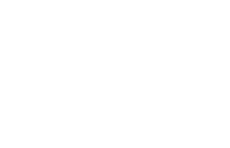 bouygues - Logo