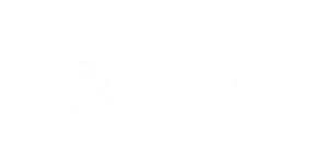 LOGO APEC