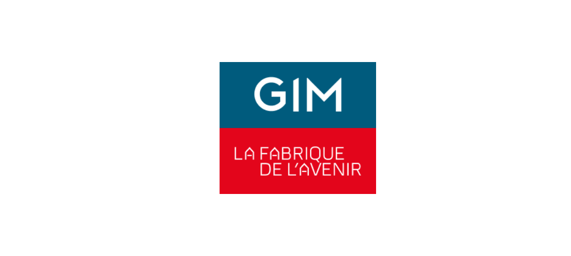 Logo GIM IDF