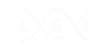 LSI