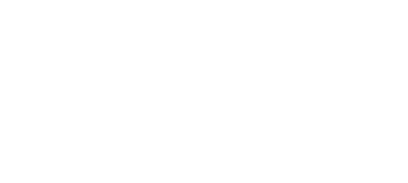 Logo - BNB Paribas